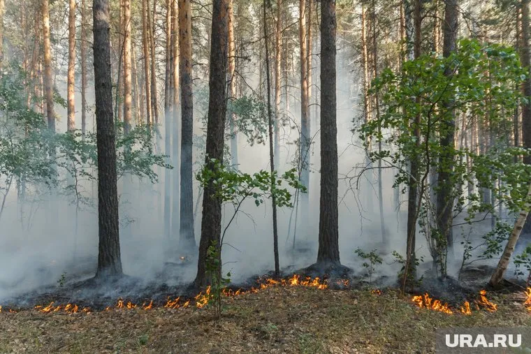 В Якутии с начала лета бушуют лесные пожары