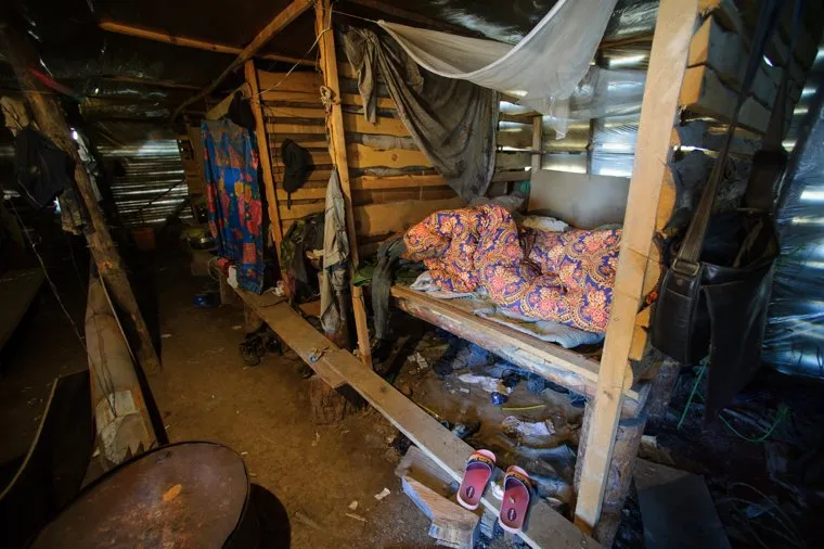 Рейд Россельхознадзора в китайские теплицы ООО Дружба Режевского района Свердловской области. Село Останино