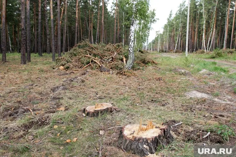 В мэрии Шадринска заявили, что «цель оправдывает средства» (архивное фото)