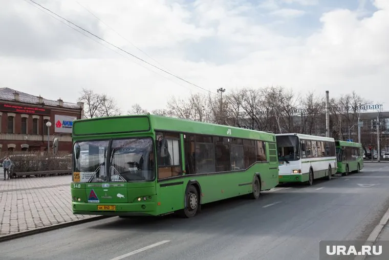 Пассажирка рассказала почему автобус улетел в кювет