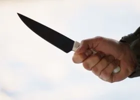 Фотография из галереи