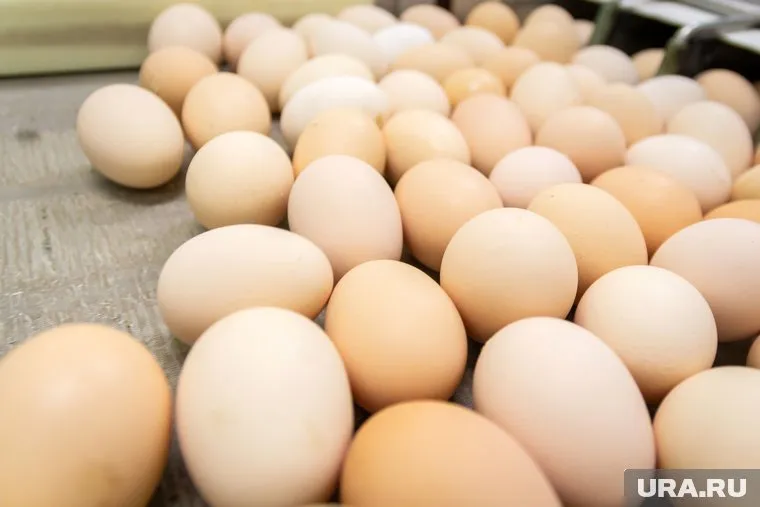 Совет директоров птицефабрики покинул ее генеральный директор