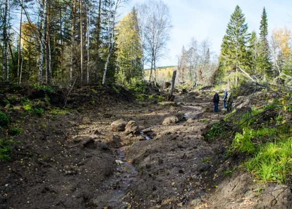 Фотография из галереи