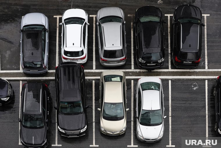 Названы самые популярные полноприводные автомобили в Челябинской области