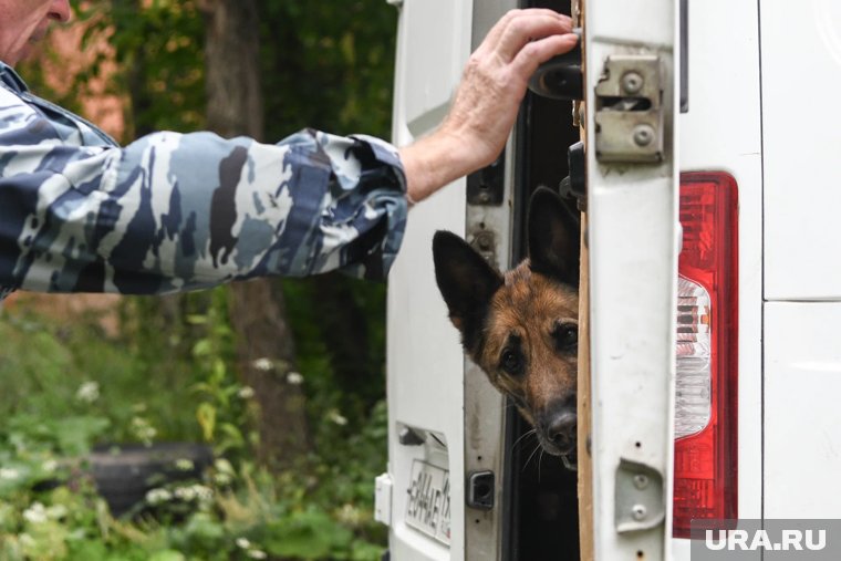 На Ямале задержана 18-летняя девушка за попытку сбыта крупной партии «синтетики»