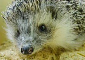 Какие праздники выпадают на 29 ноября 2025: что можно и нельзя делать