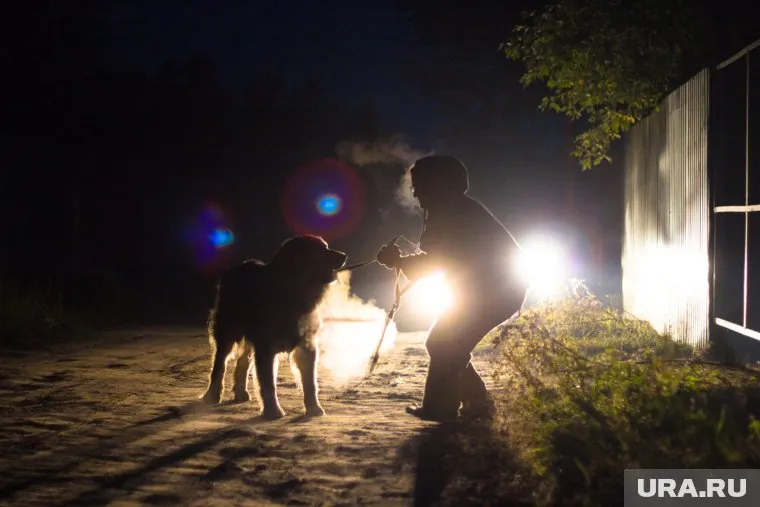 На дорогах МК-15 и МК-87 несколько дней нет электричества