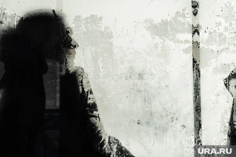 «Словно по календарю»: когда в Москве и Петербурге наступят первые морозы