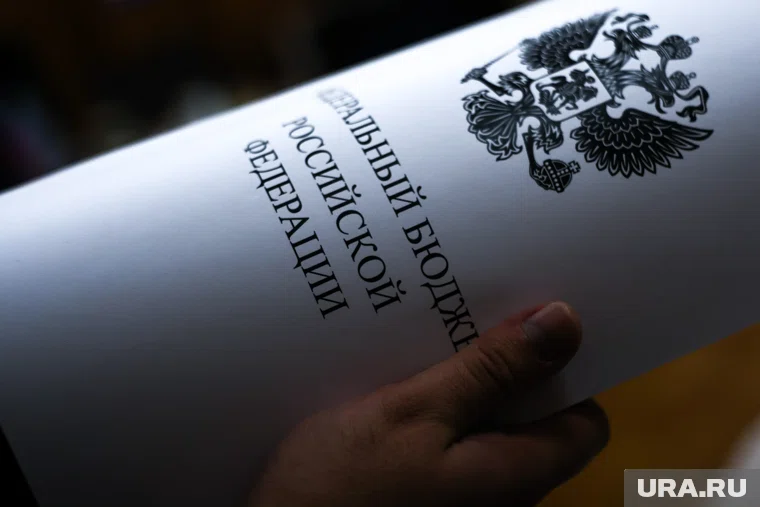 Центробанк расценивает проект бюджета России как дезинфляционный