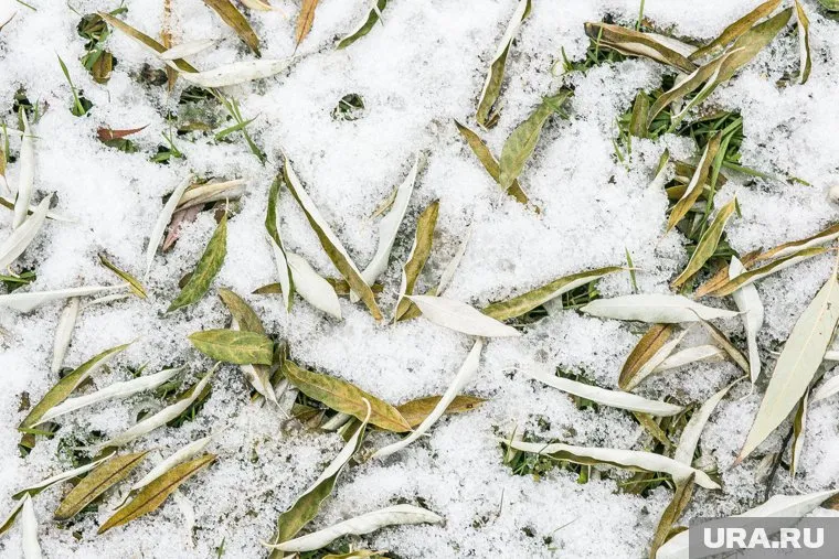 Температуры в Челябинске не опустятся ниже минус пяти градусов