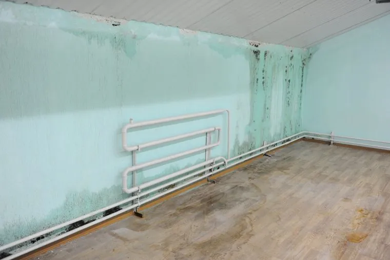 Текслер в Златоусте необр