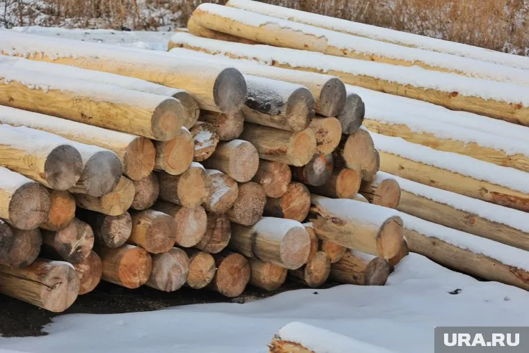 Плотникам из Кургана предлагают работать в Салехарде за 500 тысяч в месяц