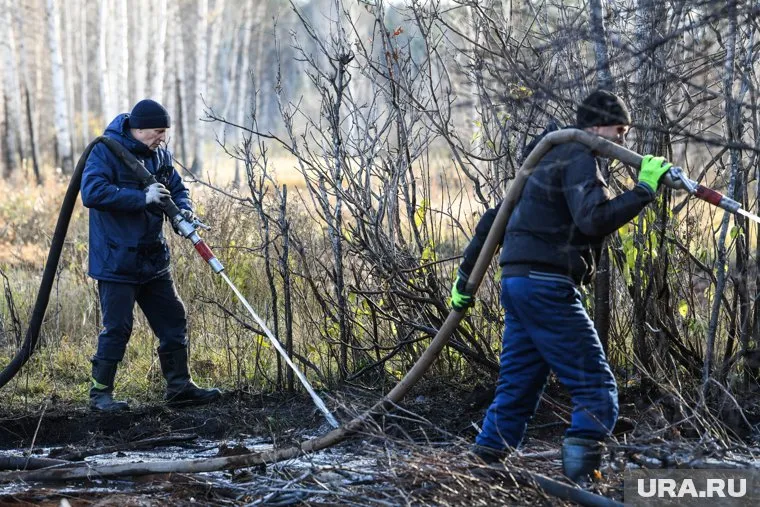В Ханты-Мансийском районе ликвидирован первый лесной пожар (архивное фото)