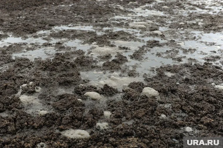 Слив навозной жижи вокруг деревни может значительно повлиять на экологическую ситуацию