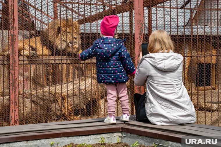 Детей приглашают на экскурсию в зоопарк