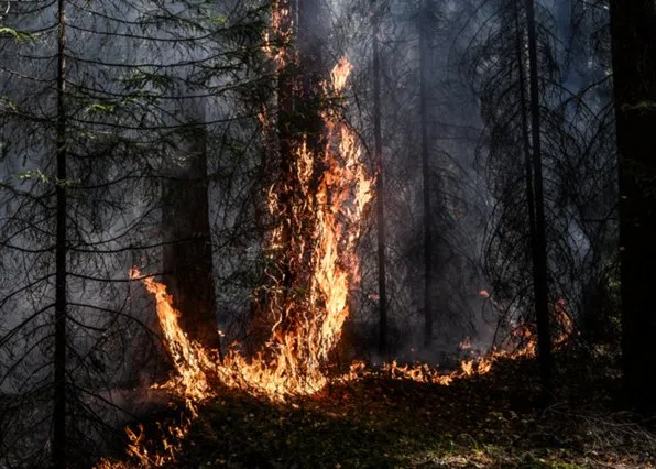 Фотография из галереи