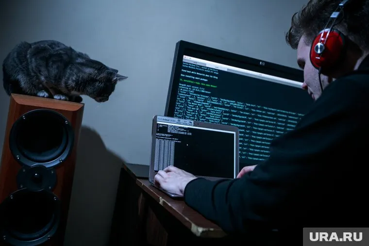 Более 400 тысяч международных хакеров совершает кибератаки против РФ