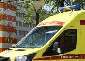 Фотография из галереи