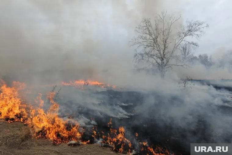 Огонь пока поселку не угрожает, но дым становится невыносим