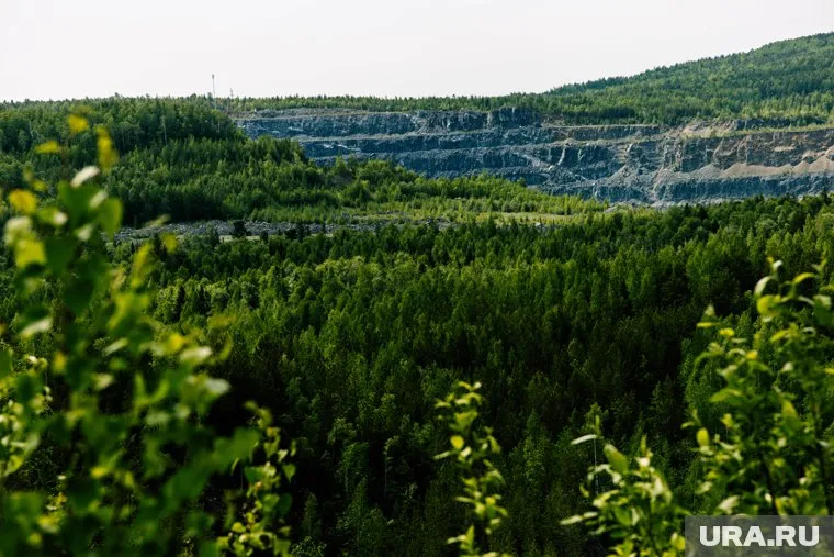 Собирать грибы и ягоды в РФ можно только для собственных нужд