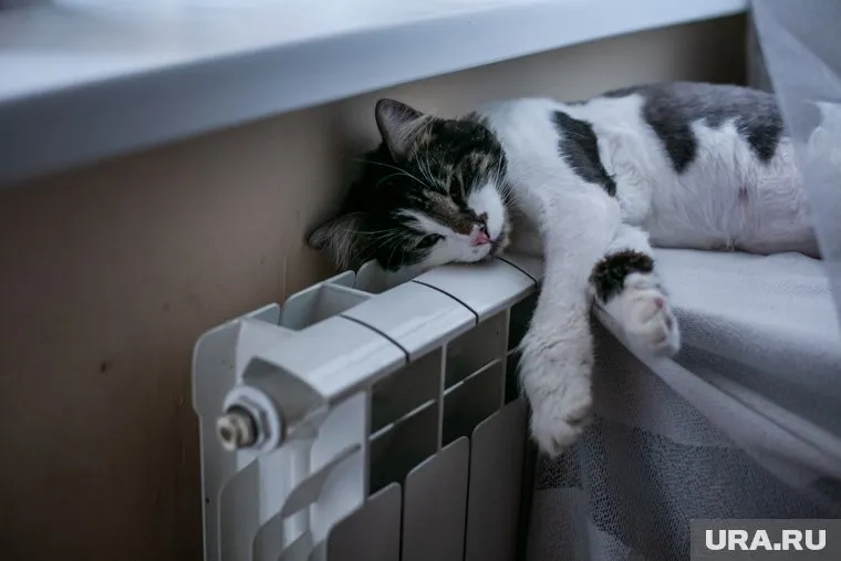 Отключение отопления поможет потреблять меньше российских энергоресурсов, считает Ричард Брэнсон