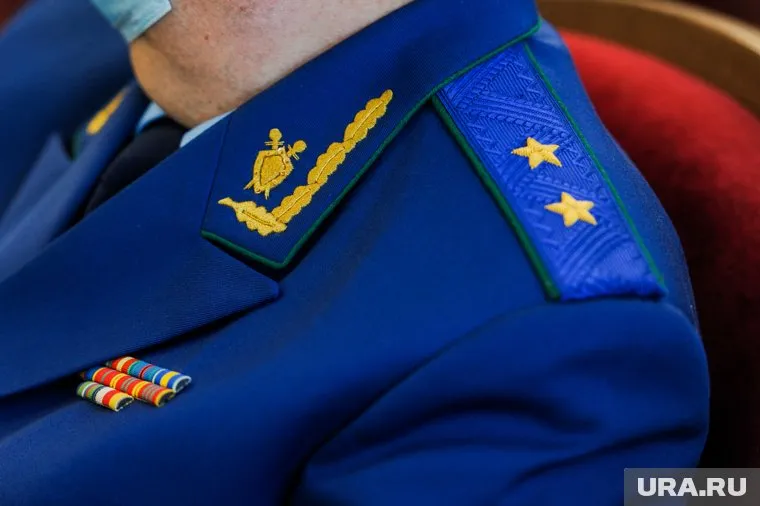 Надзоники проверят доводы