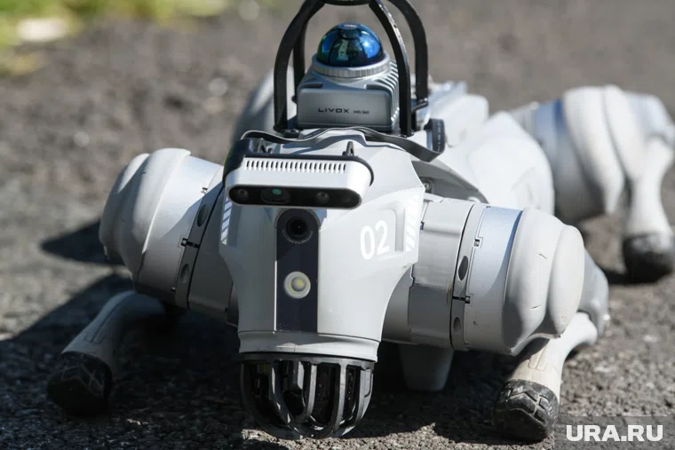 Его можно использовать, например, на предприятии