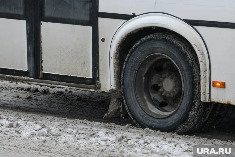 Выставленные на торги автобусы были выпущены в 2012 году 