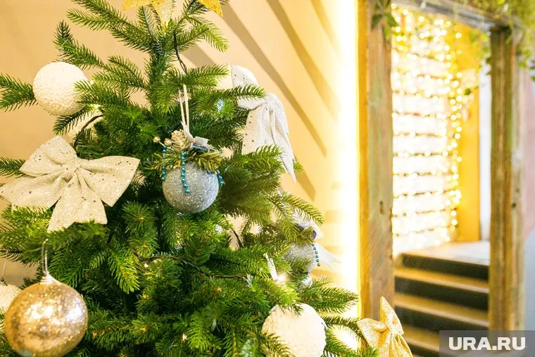 Стоимость новогодних праздников начинается от 25 тысяч рублей на двоих