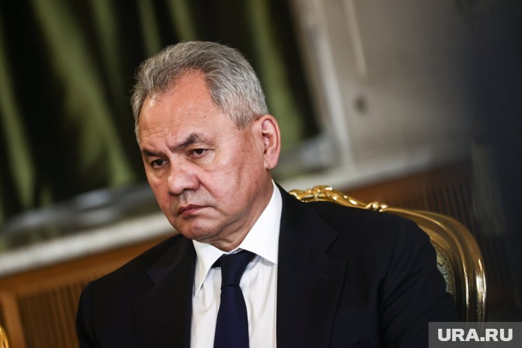 Шойгу: Россия должна сделать все, чтобы разгромить воскрешаемый на Западе нацизм