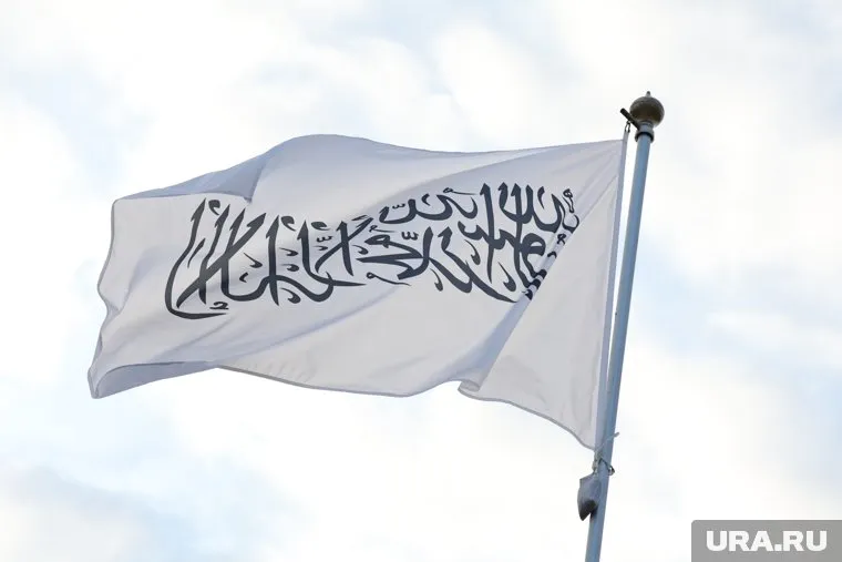 Посольство Афганистана отвергло обвинения в использовании антироссийской песни в гимне