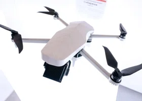 Фотография из галереи