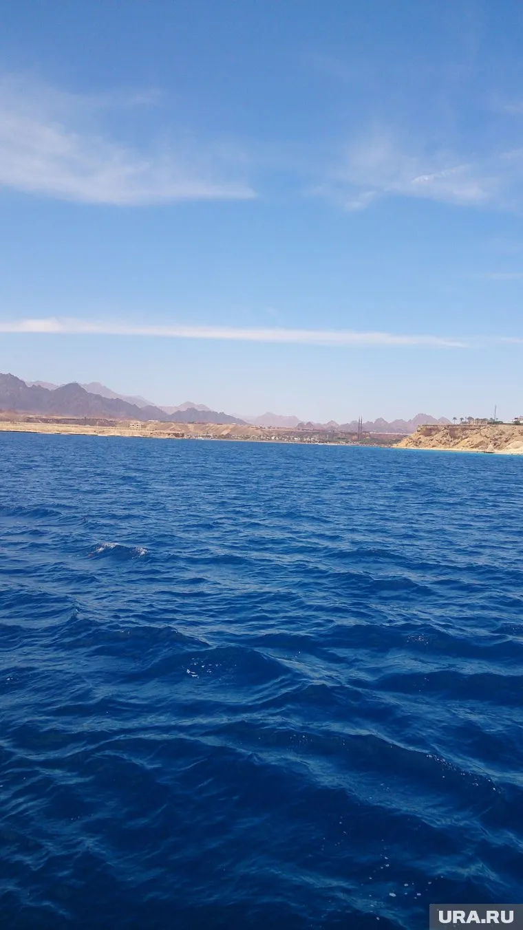 Эпицентр в 278 км на юго-запад от острова Кунашир (фото из архива)