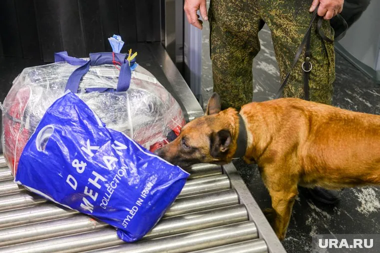 Наркотики обнаружили в почтовой посылке