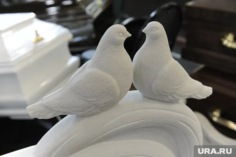 Из-за отсутствия кладбища для домашних животных курганцы их хоронят в лесу