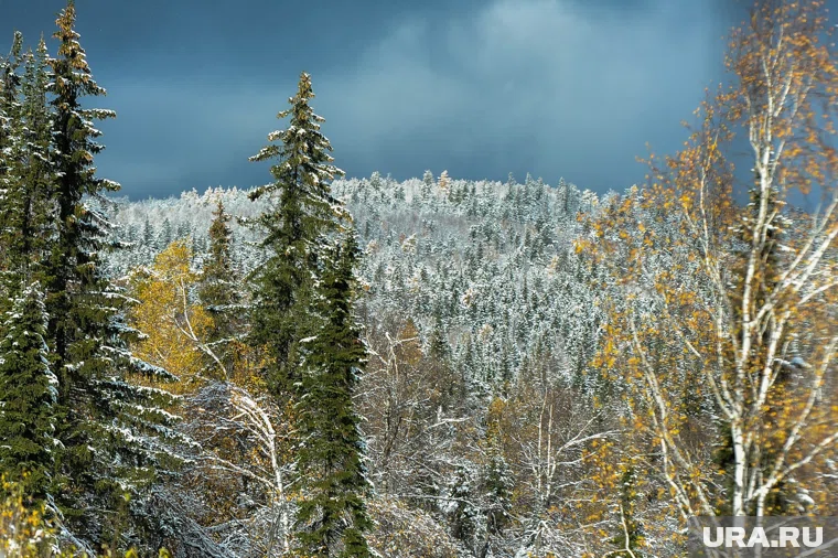 Водителей предупредили о предстоящих снегопадах