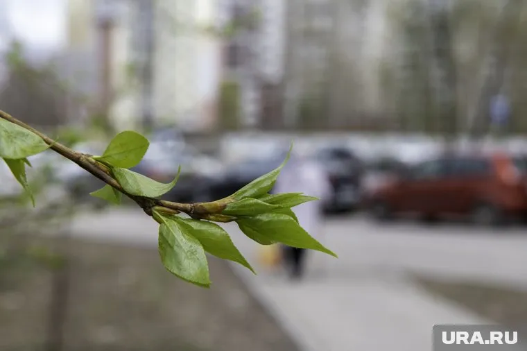 Весна-2023 дала свой вклад в погодный рекорд