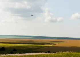 Фотография из галереи