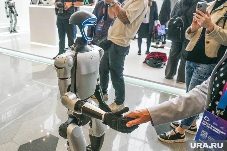 Фестиваль робототехники пройдет в Кургане