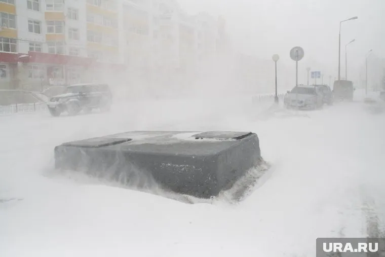 Синоптики прогнозируют, что снегопад и метель продолжится в Москве до утра понедельника
