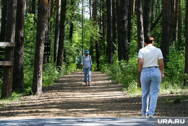 Экотропа появится в Тобольске на территории «Паниного бугра»