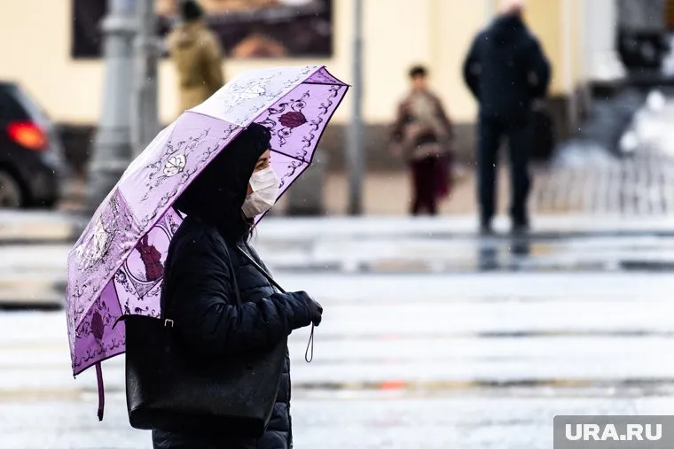 Синоптики не исключают, что местами пройдет дождь со снегом