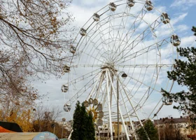 Тюменцев ждет морозный и облачный день