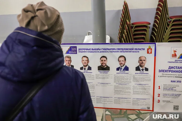 В губернаторской гонке участвуют пять кандидатов