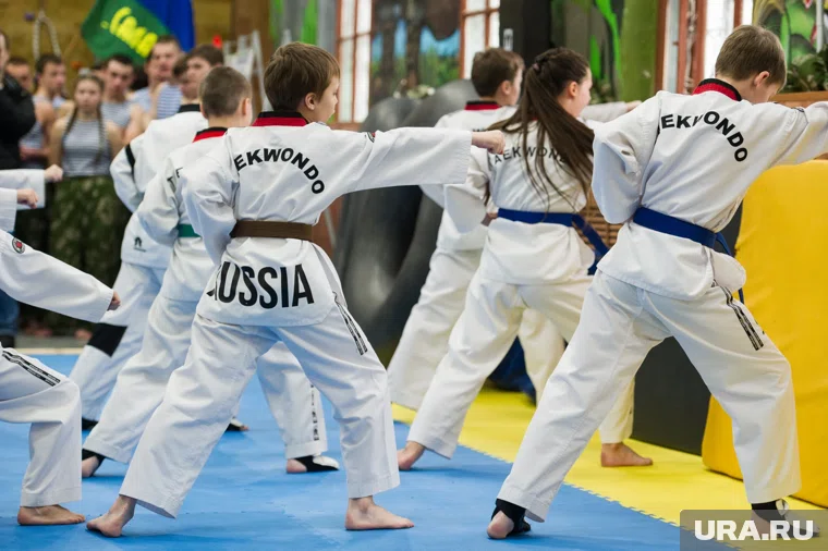 Чемпионат Европы по тхэквондо проходил 22-23 ноября в Швейцарии (архивное фото)