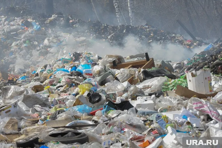 Ликвидировать места незаконного скопления отходов должны собственники земельных участков, либо местная администрация
