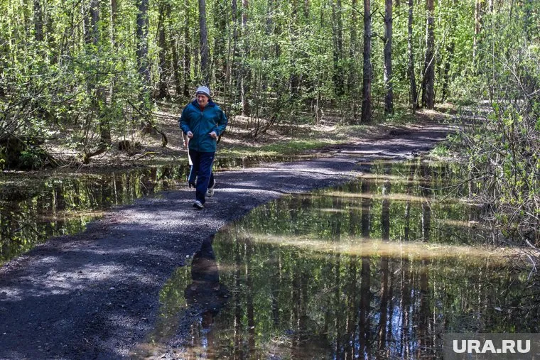 В Затюменском лесопарке столкнулись интересы спортсменов, чиновников и экологов