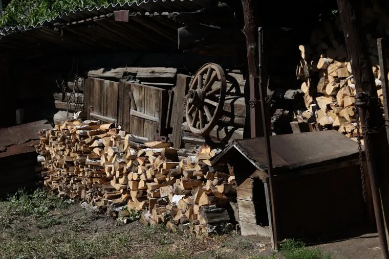 Улица Бурова-Петрова. Курган