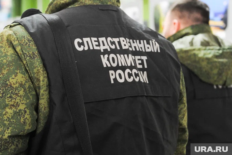 В СК начали проверку