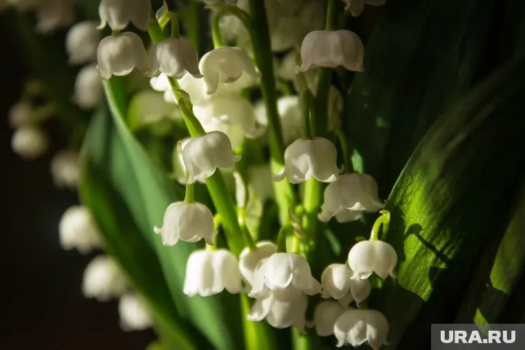 Температура летом будет выше климатической нормы